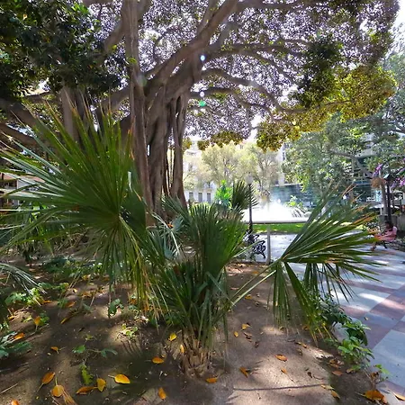 Wellrenting - Prado Sastre Alicante